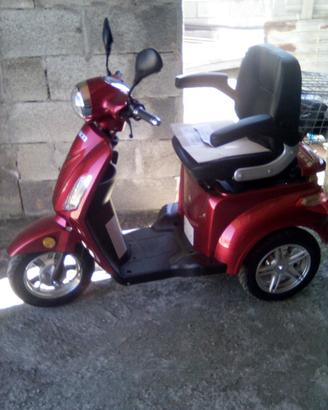 Carrozzina per adulti