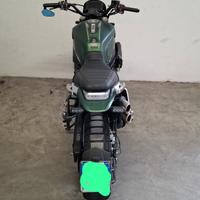 BENELLI LEONCINO 800 TRAIL