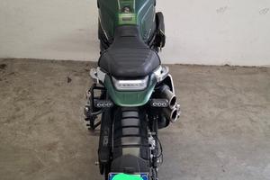 BENELLI LEONCINO 800 TRAIL