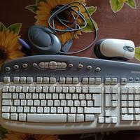 Tastiera e mouse Microsoft