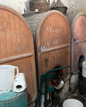 Tini in vetrocemento