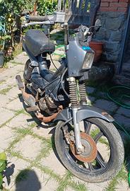 malaguti fifty full cx 