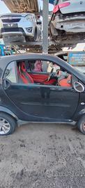 SMART 450 2006 PORTA SX/DX