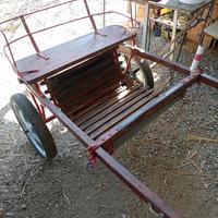 carrozzino per pony 