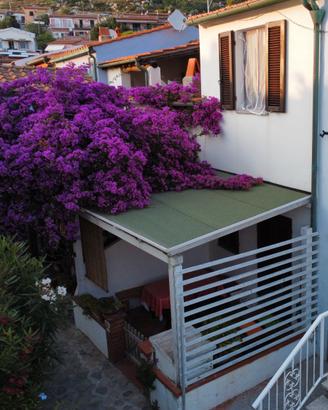 Vacanze all'Elba a 2 passi dal mare - Pomonte