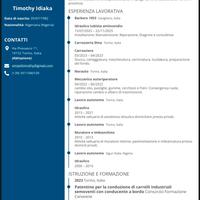 Idraulico tubista antincendio, Carrozziere