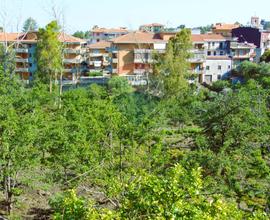Terreno - Santa Venerina