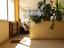 Immagine 11