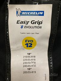 Michelin Easy Grip Evo 12