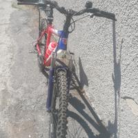 bici bottecchia fx530