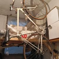bicicletta da corsa 
