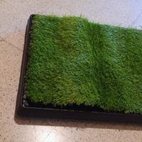 Toilette per cani nuova