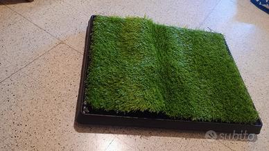 Toilette per cani nuova