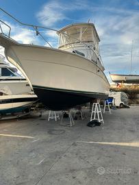 Fisherman EGG HARBOR 35 Golden Egg