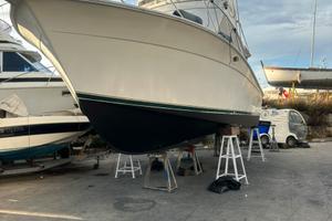 Fisherman EGG HARBOR 35 Golden Egg