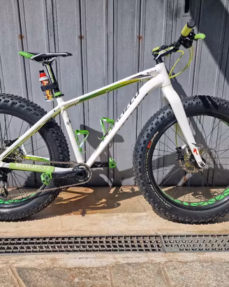 fat bike specialaized