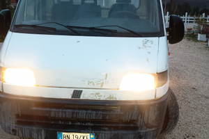 Ducato ci cassone