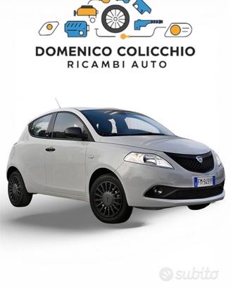 Ricambi usati Lancia Ypsilon 2018
