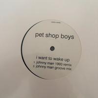 Pet Shop Boys - Can you forgive her? 12” promo