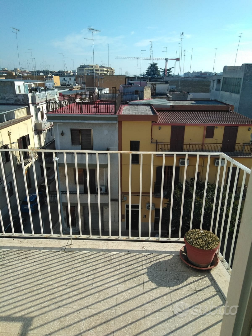 Appartamento – Cerignola, Foggia - Vista 4