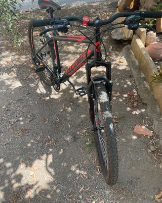 Bici atala