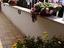 Immagine 28