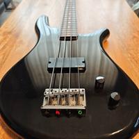 Spector NS2000B