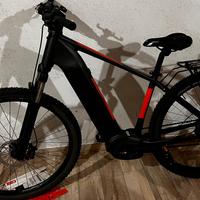 Bici elettrica b-race