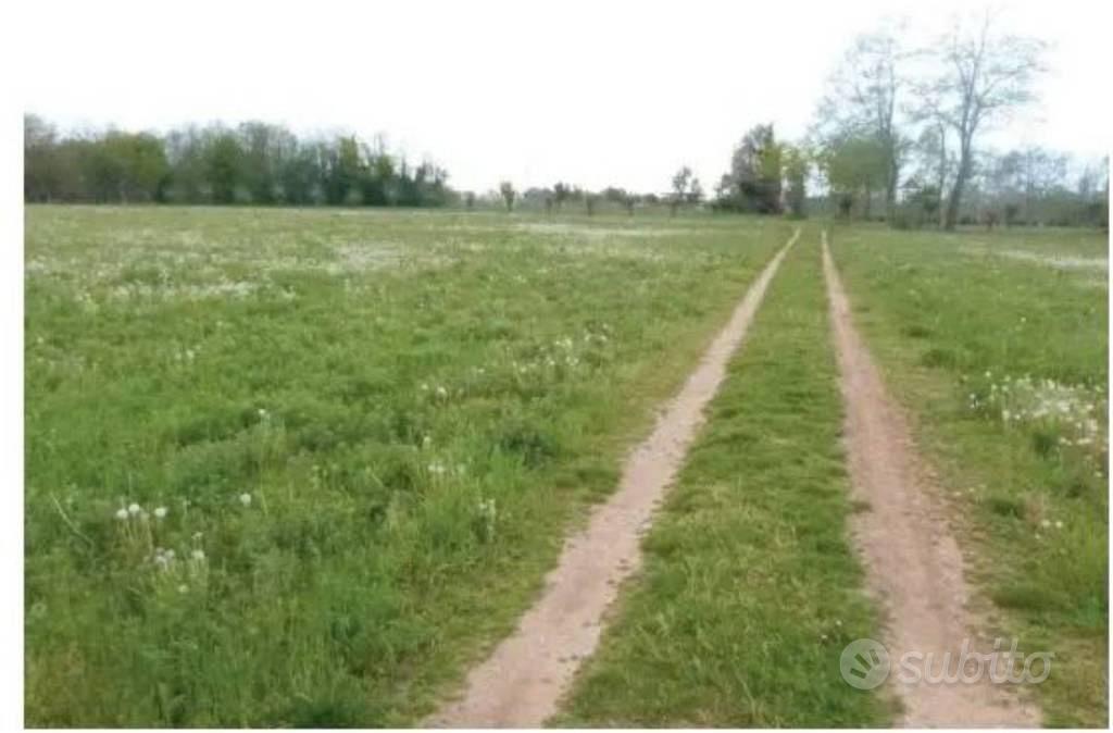 Immobile in asta di 29838 m² a Paese - Vista 2