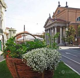 Immobile a Venezia (VE)