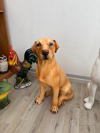 Labrador ceramica di Bassanl del Grappa