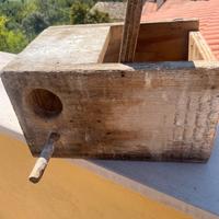 Nido doppia camera pappagalli