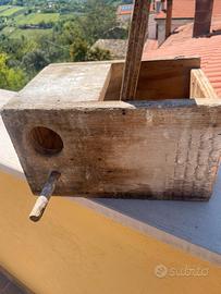 Nido doppia camera pappagalli