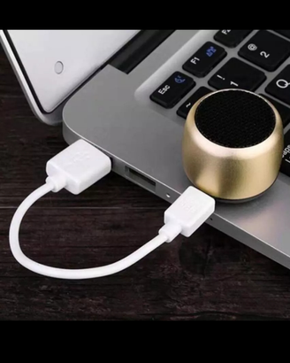 Mini Cassa Bluetooth