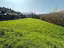 Immagine 12