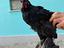 Immagine 6