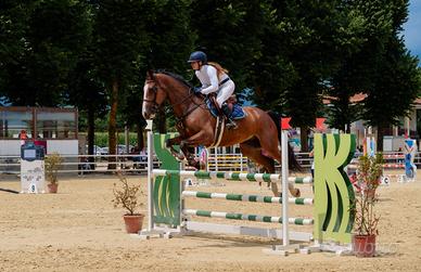 Castrone categorie brevetto e 1 grado