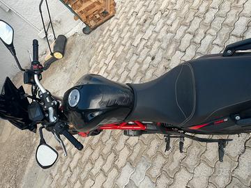 Benelli