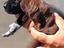 Immagine 4