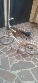 Graziella Bottecchia darling 20"