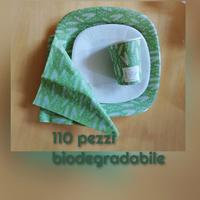 Set biodegradabile 20 persone 110 pezzi