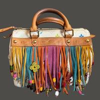 Louis Vuitton Speedy 25 Multicolore Fringe
