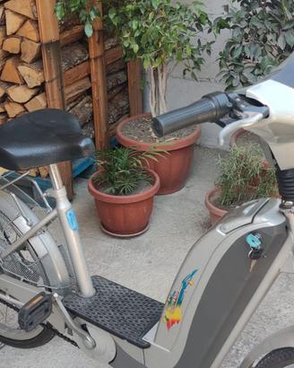 bici elettrica