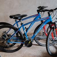 BICICLETTE GIRARDENGO IN COPPIA 