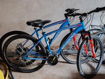 BICICLETTE GIRARDENGO IN COPPIA 