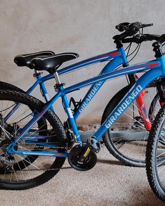BICICLETTE GIRARDENGO IN COPPIA 