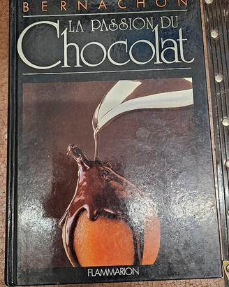 libro di cucina sul cioccolato in francese