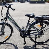 Bicicletta a pedalata assistita