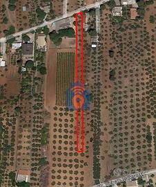 Partanna Terreno Agricolo