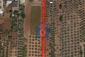 Partanna Terreno Agricolo